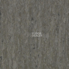 Линолеум Tarkett iq Optima GREY BROWN 0898 фото 1 | FLOORDEALER